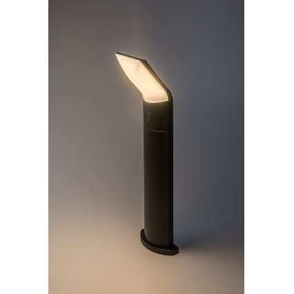 Rabalux - LED Vonkajšia lampa LED/10W/230V IP54