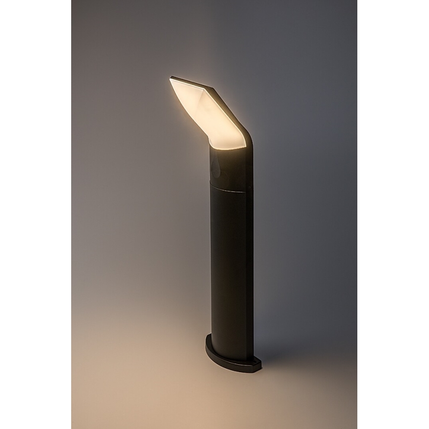 Rabalux - LED Vonkajšia lampa LED/10W/230V IP54