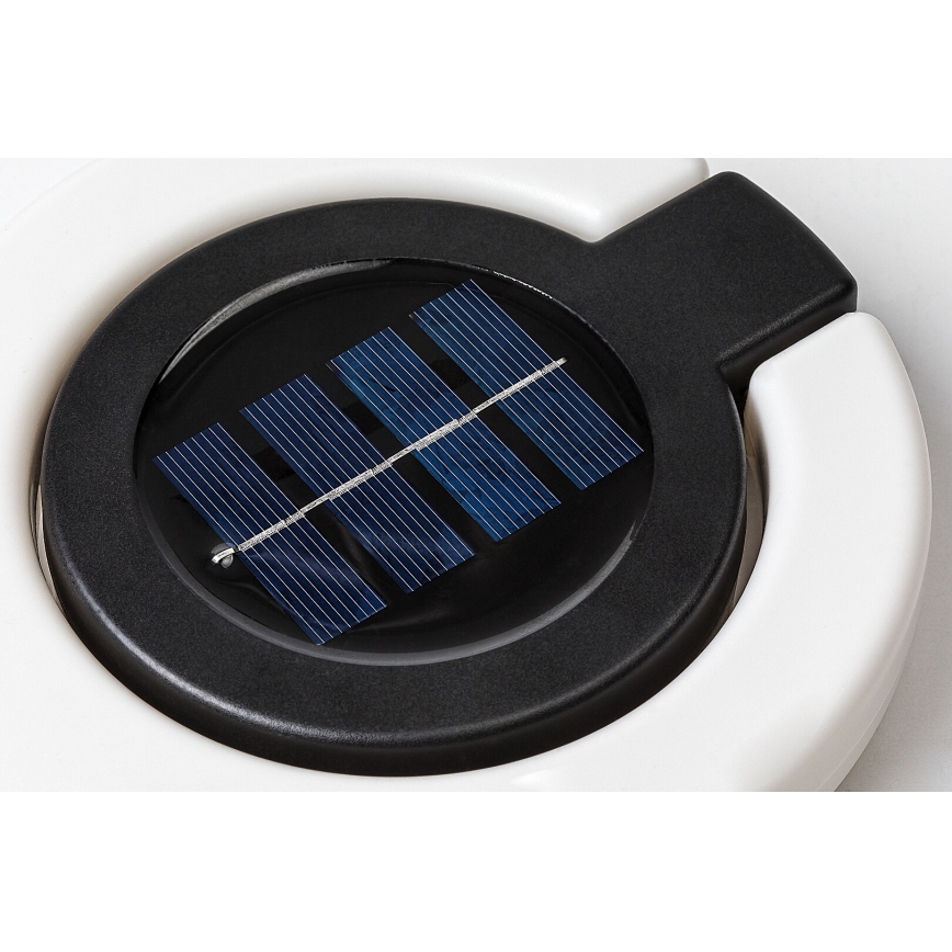 Rabalux - LED Solárne svietidlo LED/0,05W/1,2V IP44