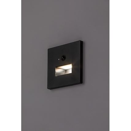 Rabalux - LED schodiskové svietidlo so snímačom pohybu a súmraku LED/1W/230V 3000/4500/6500K čierne