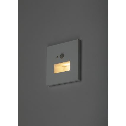Rabalux - LED schodiskové svietidlo so senzorom pohybu a súmraku LED/1W/230V 3000/4500/6500K biela