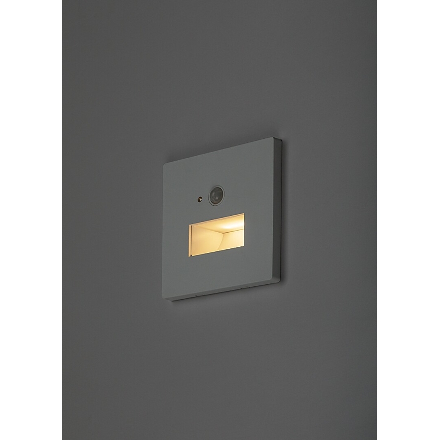 Rabalux - LED schodiskové svietidlo so senzorom pohybu a súmraku LED/1W/230V 3000/4500/6500K biela