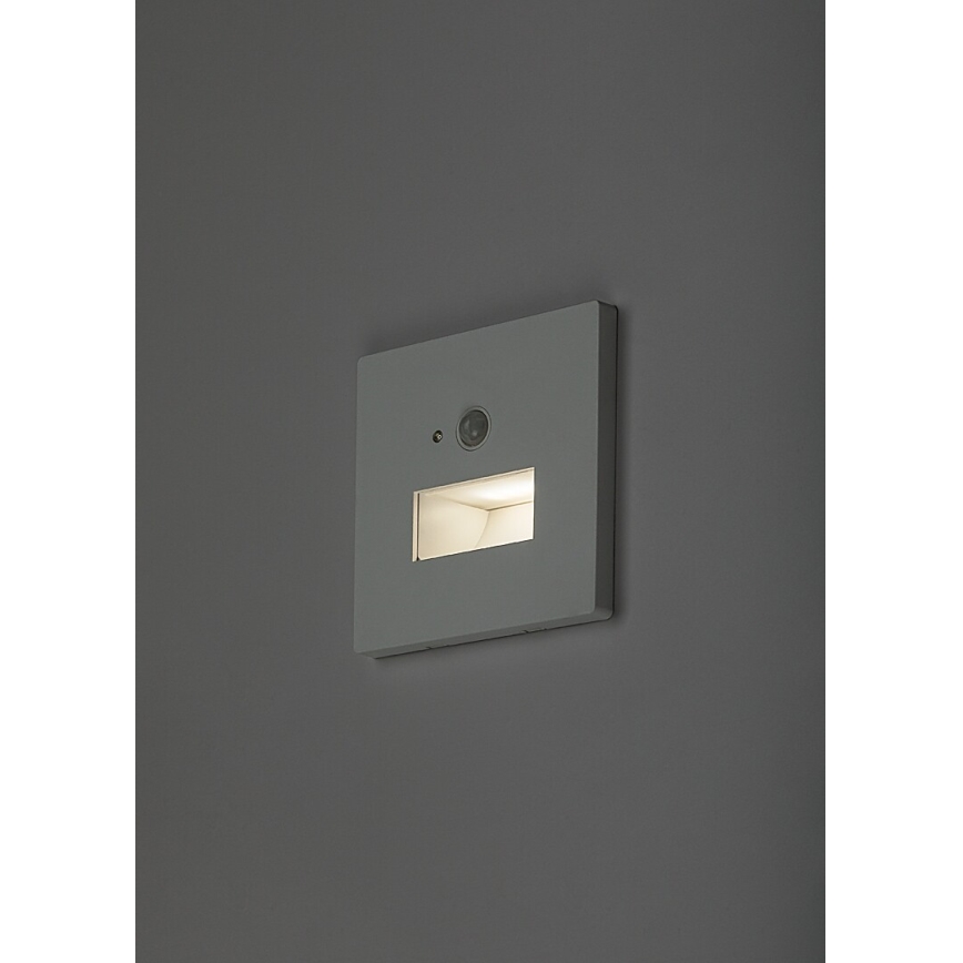 Rabalux - LED schodiskové svietidlo so senzorom pohybu a súmraku LED/1W/230V 3000/4500/6500K biela