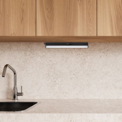 Rabalux - LED Podlinkové svietidlo LED/4W/230V 3000/4000K čierna