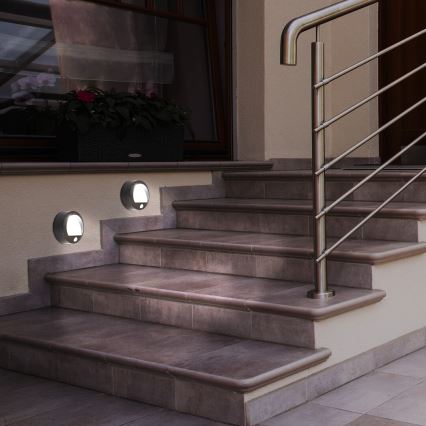 LED Vonkajšie nástenné svietidlo so senzorom LED/1,5W/3xAA IP44 čierna