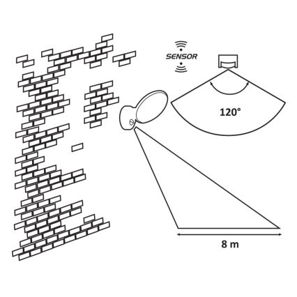 Rabalux - LED Vonkajšie nástenné svietidlo so senzorom LED/12W/230V IP54