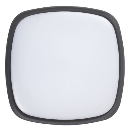 Rabalux - LED Vonkajšie stropné svietidlo LED/20W/230V IP65