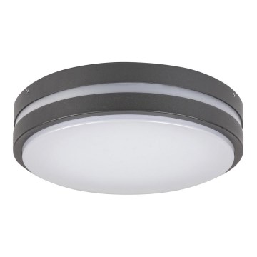 Rabalux 8847 - LED Vonkajšie nástenné svietidlo HAMBURG LED/10W/230V IP44