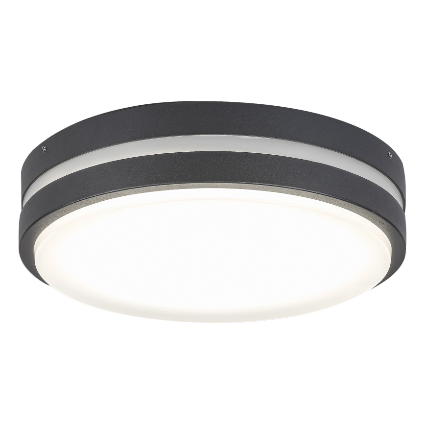 Rabalux 8848 - LED Vonkajšie nástenné svietidlo HAMBURG LED/12W/230V IP44