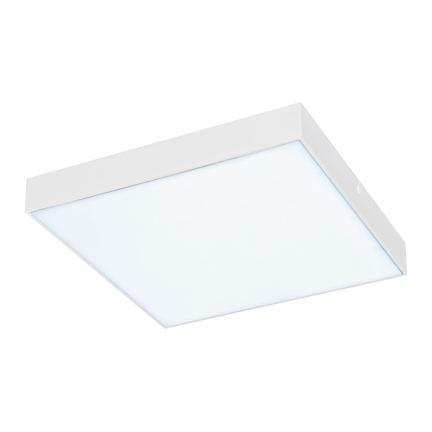 Rabalux - LED Kúpeľňové stropné svietidlo LED/18W/230V 2800-6000K IP44 biela 17,5x17,5 cm