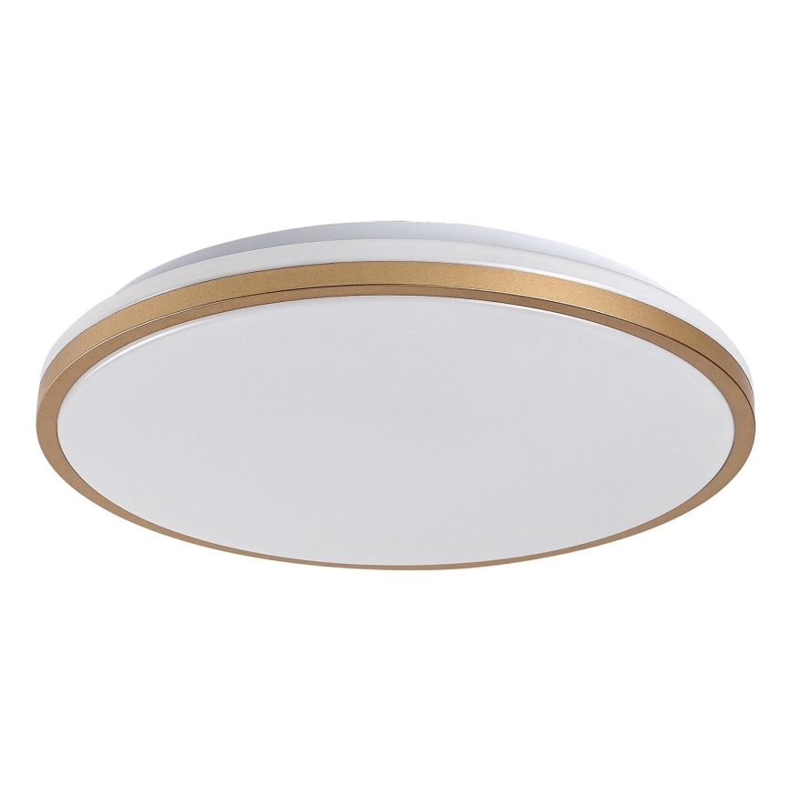 Rabalux - LED kúpeľňové stropné svietidlo LED/18W/230V IP44 pr. 34 cm