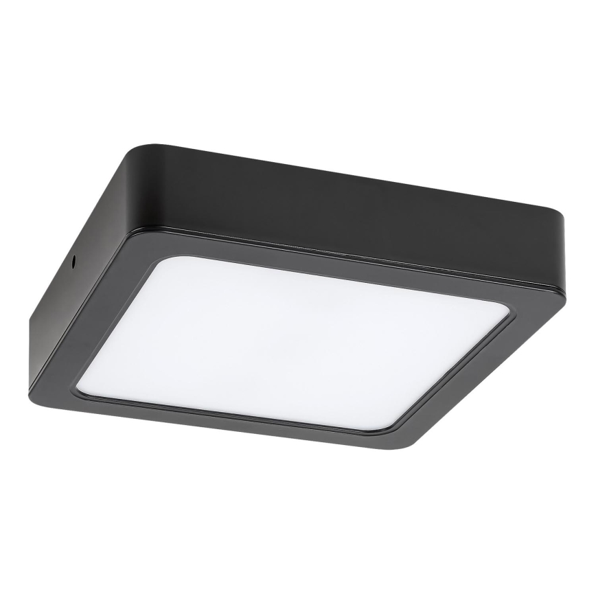 Rabalux - LED Kúpeľňové stropné svietidlo LED/24W/230V 22x22 cm IP44