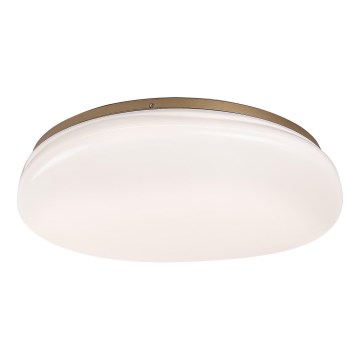 Rabalux - LED kúpeľňové stropné svietidlo LED/24W/230V IP44 pr. 41 cm