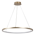 Rabalux - LED luster na lankách LED/55W/230V 3000K