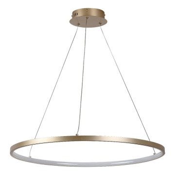Rabalux - LED luster na lankách LED/55W/230V 3000K