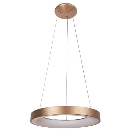 Rabalux - LED Luster na lanku CARMELLA LED/80W/230V