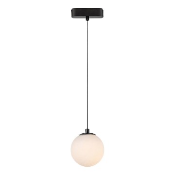 Rabalux - LED Luster na lanku do 1-fázového lištového systému LED/5W/24V 3000K čierna