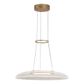 Rabalux - LED luster na lanku LED/24W/230V 3000K