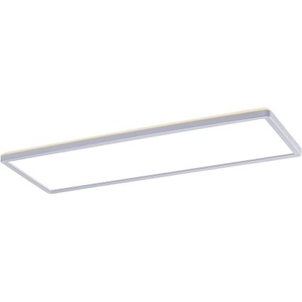 Rabalux - LED Prisadený panel LED/22W/230V