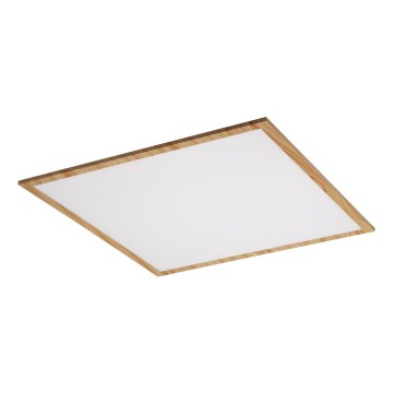Rabalux - LED Prisadený panel LED/40W/230V 4000K