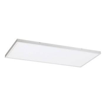 Rabalux - LED Prisadený panel LED/80W/230V 4000K 120x60 cm