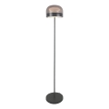 Rabalux - LED Stmievateľná stojacia lampa LED/20W/230V 3000/4000/6000K