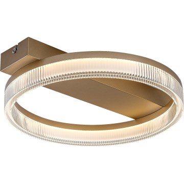 Rabalux - LED Stmievateľné stropné svietidlo LED/18W/230V 3000-6500K 37x33 cm + diaľkové ovládanie