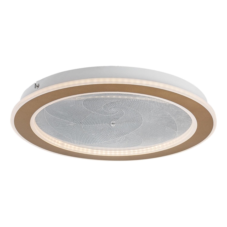 Rabalux - LED stmievateľné stropné svietidlo LED/24W/230V 3000-6500K pr. 40 cm + diaľkové ovládanie
