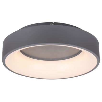 Rabalux - LED Stmievateľné stropné svietidlo LED/24W/230V guľatý 3000-6000K + diaľkové ovládanie