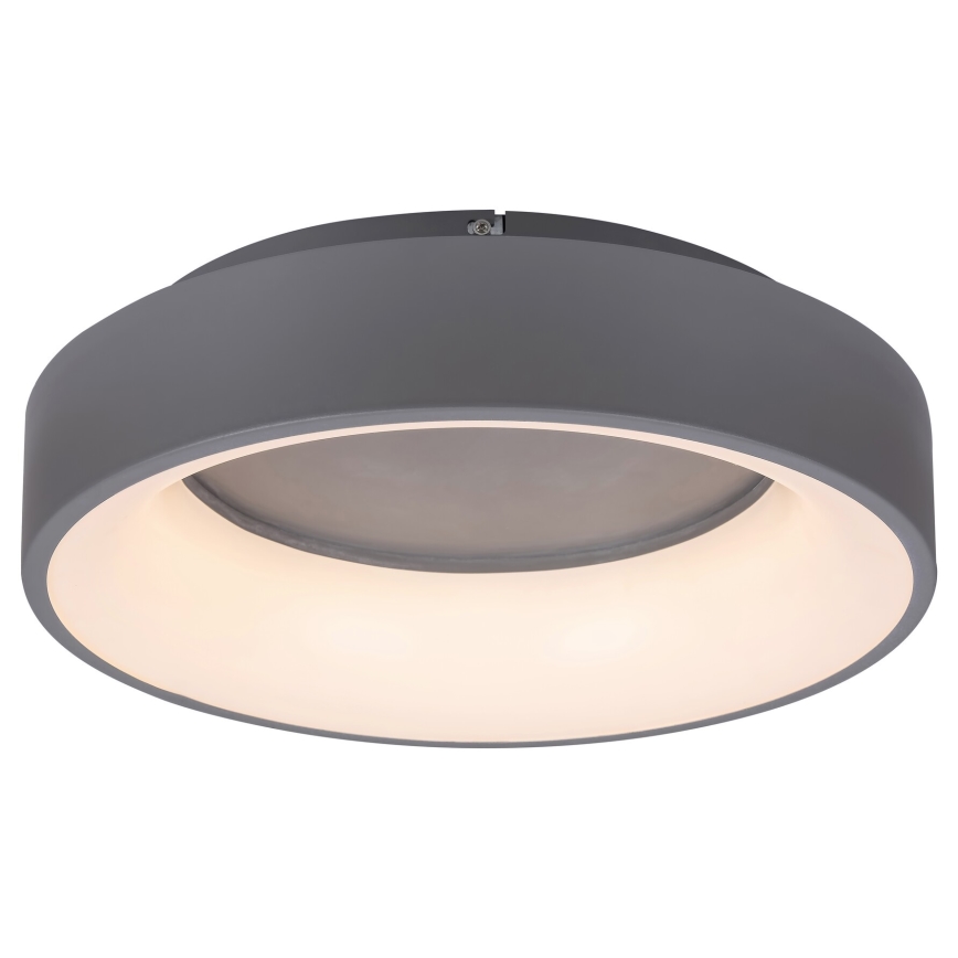 Rabalux - LED Stmievateľné stropné svietidlo LED/24W/230V guľatý 3000-6000K + diaľkové ovládanie