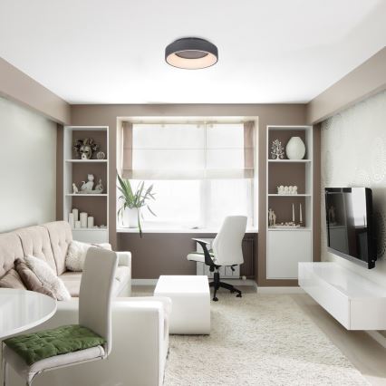 Rabalux - LED Stmievateľné stropné svietidlo LED/24W/230V guľatý 3000-6000K + diaľkové ovládanie