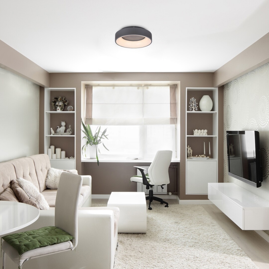 Rabalux - LED Stmievateľné stropné svietidlo LED/24W/230V guľatý 3000-6000K + diaľkové ovládanie
