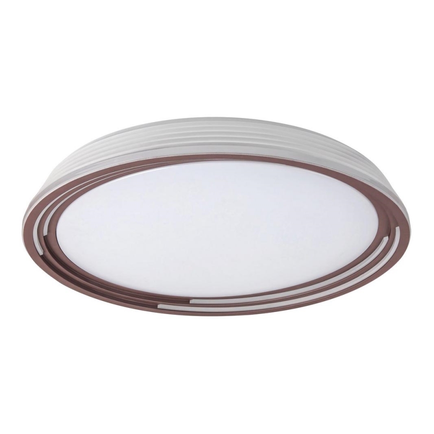 Rabalux - LED Stmievateľné stropné svietidlo LED/36W/230V