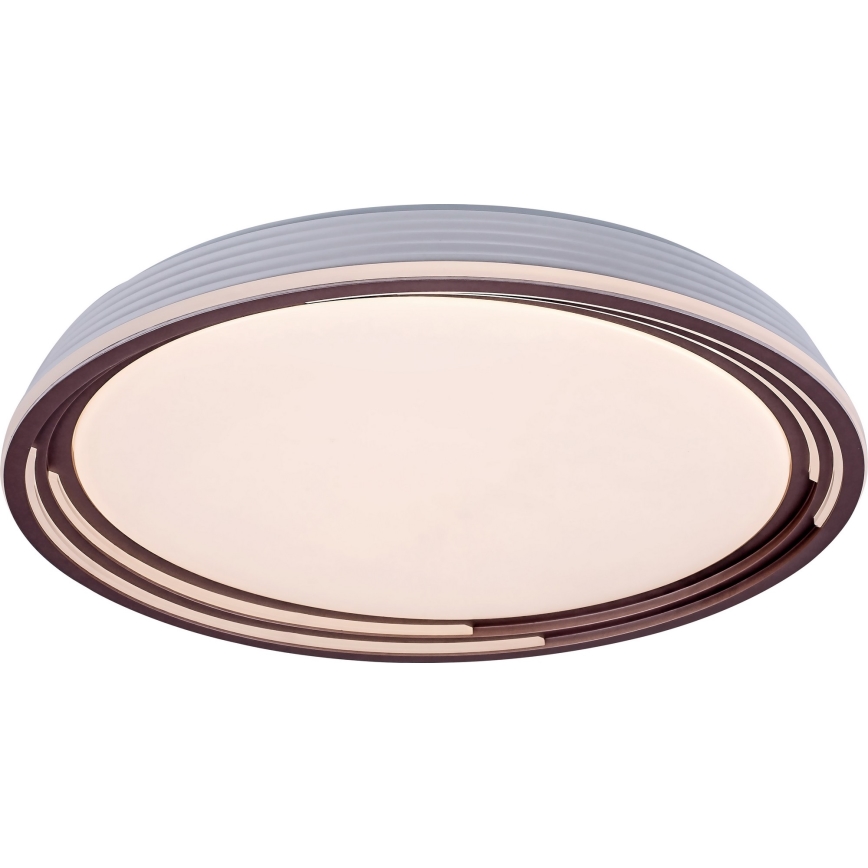 Rabalux - LED Stmievateľné stropné svietidlo LED/36W/230V