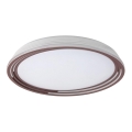 Rabalux - LED stmievateľné stropné svietidlo LED/36W/230V pr. 51,5 cm