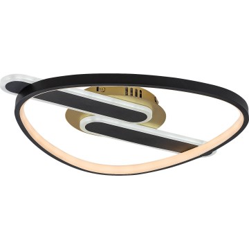 Rabalux - LED stmievateľné stropné svietidlo LED/60W/230V 3000-6000K 53x45 cm + diaľkové ovládanie