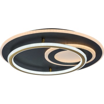Rabalux - LED stmievateľné stropné svietidlo LED/60W/230V 3000-6000K priemer 50 cm + diaľkové ovládanie