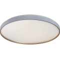 Rabalux - LED stmievateľné stropné svietidlo LED/60W/230V 3000-6500K priem. 58 cm + diaľkové ovládanie