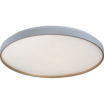 Rabalux - LED stmievateľné stropné svietidlo LED/60W/230V 3000-6500K priem. 58 cm + diaľkové ovládanie