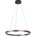 Rabalux - LED stmievateľný luster na lane LED/36W/230V 3000-6500K + diaľkové ovládanie