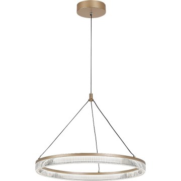 Rabalux - LED stmievateľný luster na lanku LED/24W/230V 3000-6500K + diaľkové ovládanie