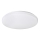 Rabalux - LED Stropné svietidlo 1xLED/32W/230V