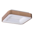 Rabalux - LED Stropné svietidlo CARMELA LED/30W/230V 40x40 cm