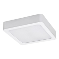 Rabalux - LED Stropné svietidlo LED/15W/230V 3000K 16x16 cm biela