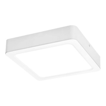 Rabalux - LED Stropné svietidlo LED/18W/230V 17 cm