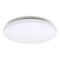 Rabalux - LED Stropné svietidlo LED/20W/230V