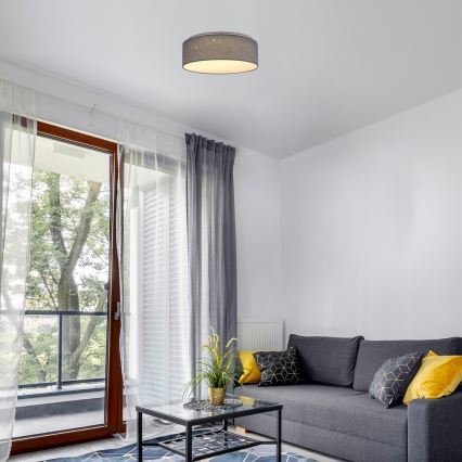 Rabalux - LED stropné svietidlo LED/22W/230V sivé pr. 40 cm