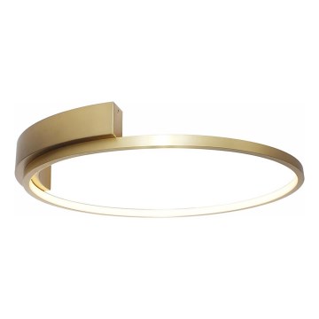 Rabalux - LED Stropné svietidlo LED/23W/230V