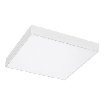 Rabalux - LED stropné svietidlo LED/24W/230V 2800-6000K IP44 biela 40x30 cm