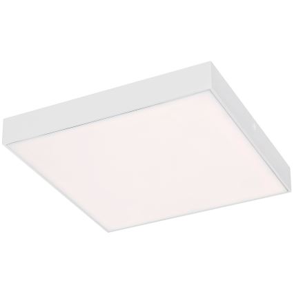 Rabalux - LED Stropné svietidlo LED/24W/230V 3000-6000K IP44 biela